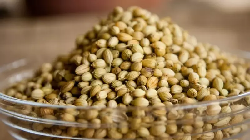 Kişniş ile Göbek Yağlarından Kurtulun: Sadece Birkaç Haftada Etkili!