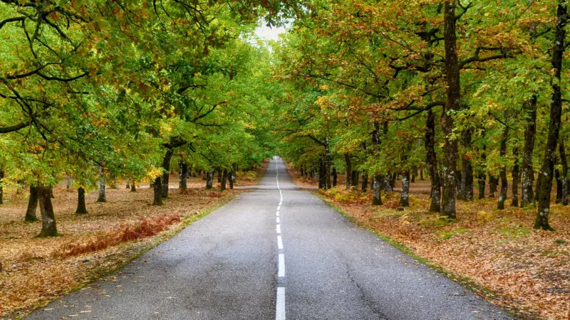 Konak - Menemen Arası Mesafe: 33 km ve Ulaşım Seçenekleri