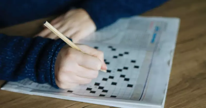 Kuyruk Sokumu Kemiği Bulmaca Cevabı: Pöç ve Uca