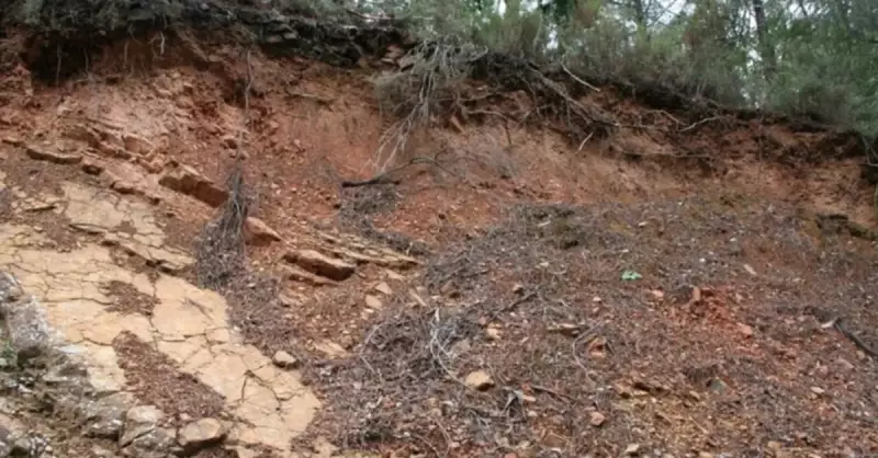 Litosol Toprak Nedir? Türkiye'de Nerelerde Görülür ve Özellikleri