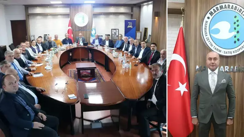 Marmarabirlik'ten Zeytincilere Müjde! 2025-2026 Sezonu Alım Fiyatları Belli Oldu