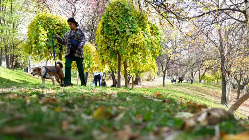 Meteoroloji'den Sağanak Uyarısı: İstanbul'da Hava Açık, 2 Bölgede Sağanak Bekleniyor