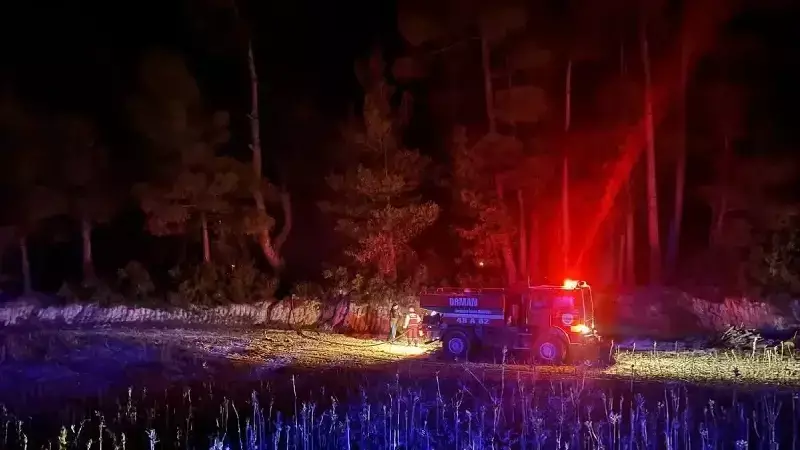 Muğla'da Gece Çıkan Orman Yangını Hızla Kontrol Altına Alındı