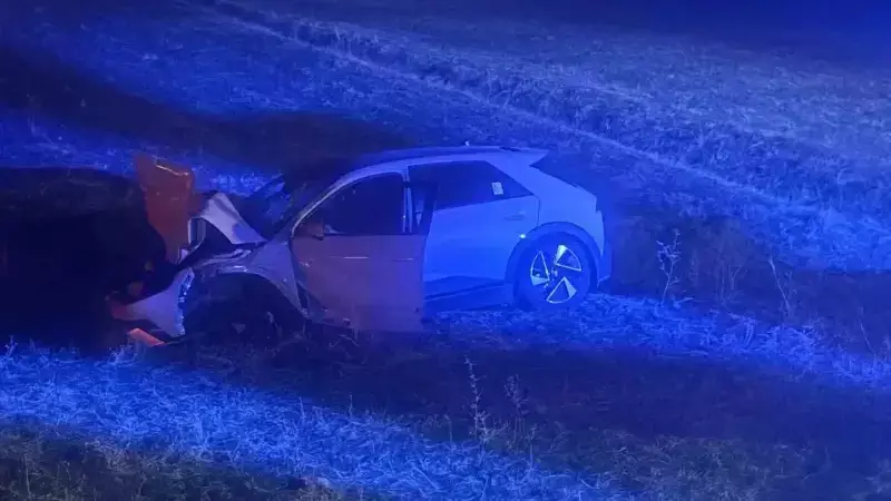 Muş'ta Otomobil Yola Çıkan İneğe Çarptı: İnek Telef Oldu