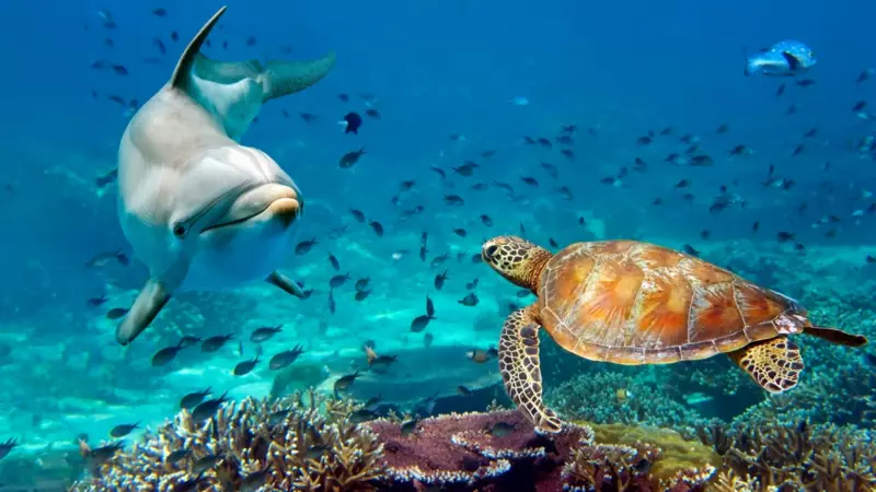 İnsan Ömrünü Katlayan 7 Canlı: 500 Yıl Yaşayan Türler