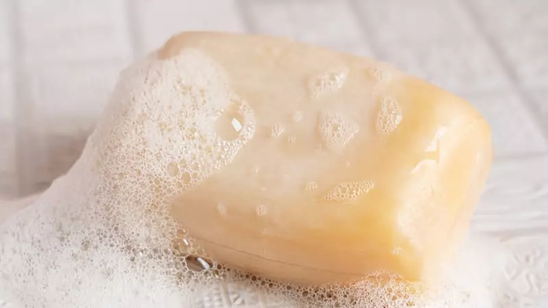 Orta Çağ'da Yıkanmak Neden Ölümcül Görülüyordu?