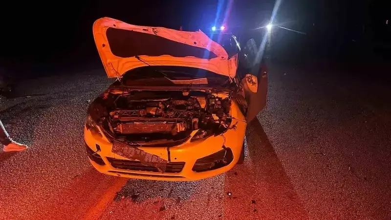 Çorum'da Yola Çıkan Danaya Çarpma Kazası: 2 Yaralı