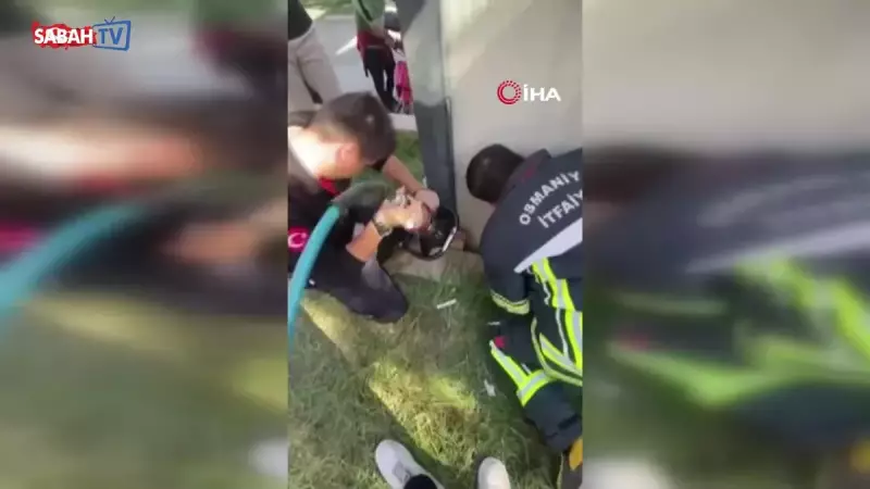 Osmaniye'de Konteyner ile Duvar Arasında Sıkışan Yavru Kedi Kurtarıldı