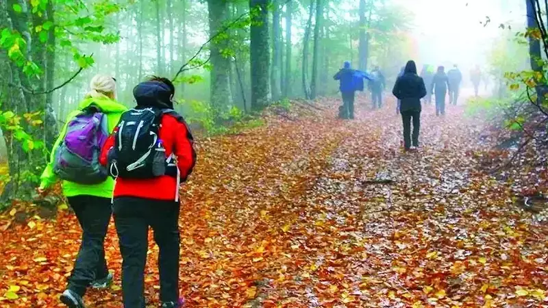 Patagonya'da Fırtına: 5 Turist Hayatını Kaybetti, 7 Kayıp