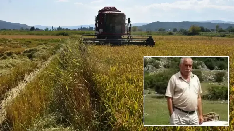 Sinop'ta Çeltik Çuvalı Altında Kalan 67 Yaşındaki Adam Hayatını Kaybetti