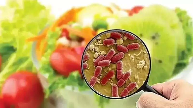 Sokak Lezzetlerinde Gıda Zehirlenmesi Tehlikesi: Uzman Uyarıyor