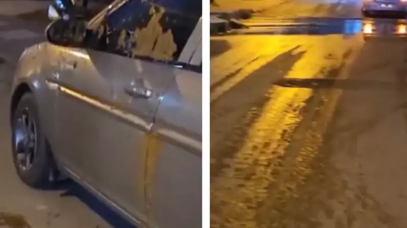 Tekirdağ'da Hijyen Skandalı: Dışkılar Araçların Üzerine Sıçradı