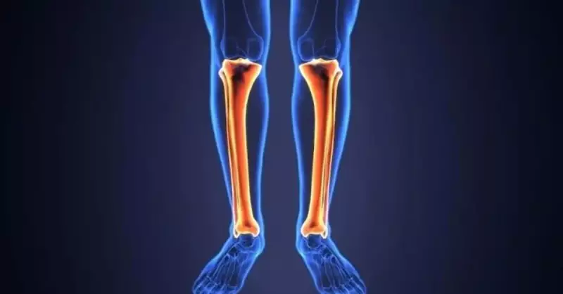 Tibia Kemiği Nerede? Kaval Kemiğinin Görevleri ve Özellikleri