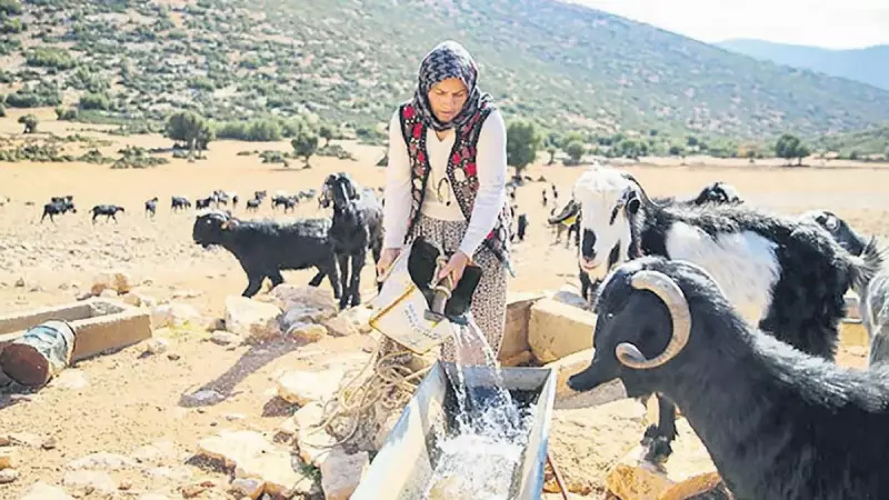 Toprağa Kök Salan Kadınlar: Anadolu'nun Yeşeren Umut Hikayeleri