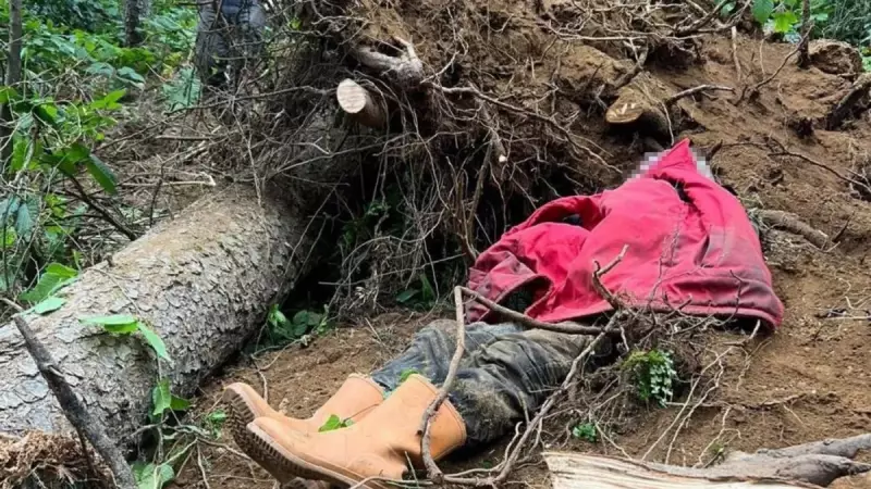 Trabzon'da Feci Kaza: 45 Yaşındaki Coşkun Bayrak Ağacın Altında Can Verdi