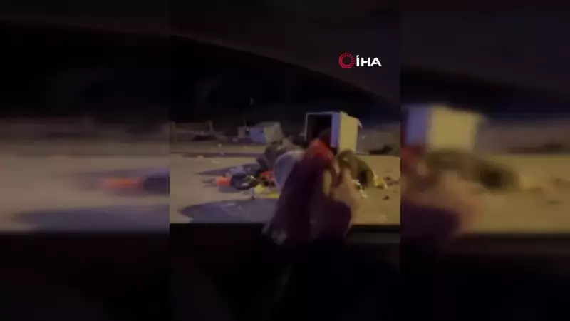 Uludağ'da Sucuk Verdiği Ayının Saldırısına Uğradı: O Anlar Kamerada