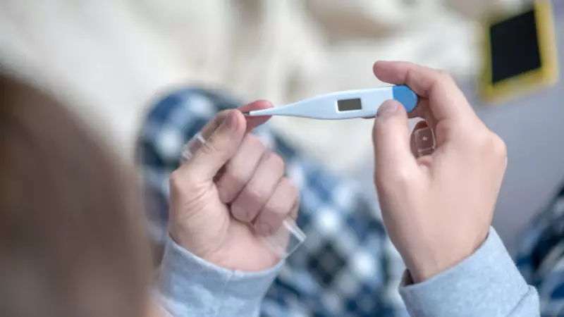 Vücut Isısı Neden 37 Derece? Mantar Savunması ve Enerji Dengesi