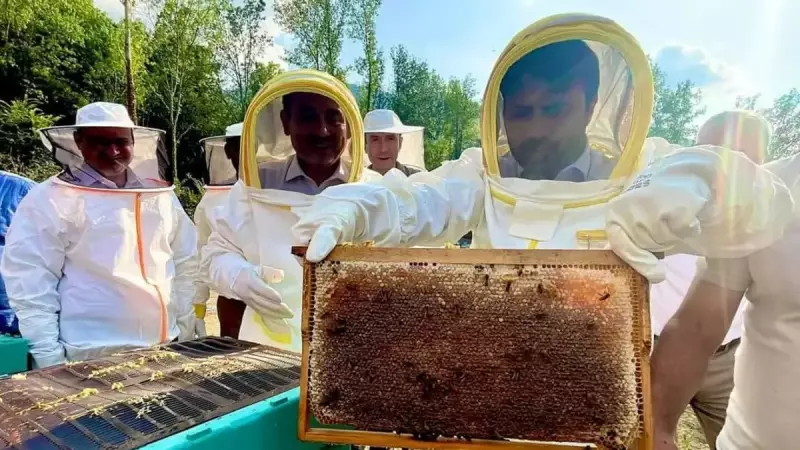 Yenice Ihlamur Balı AB'de Tescillendi: 43. Coğrafi İşaretli Ürünümüz