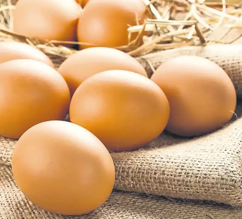 Yumurtasız Yaşam Mümkün mü? Uzmanından Şaşırtan Açıklamalar