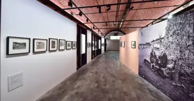 Ara Güler Müzesi: Ücretsiz Ziyaret ve Ulaşım Rehberi