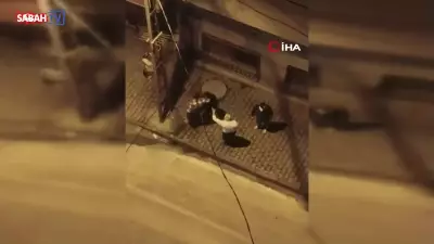 Arnavutköy'de Komşu Kavgası: Ses Tartışması Sopalar ve Yumruklarla Sokağa Taştı