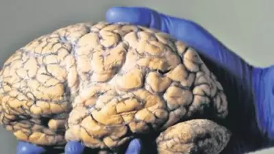 Beyin Sağlığını Korumak İçin 6 Etkili Yöntem Açıklandı