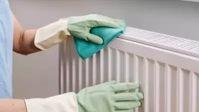 Evdeki Tozun Nedeni Petekler! 10 Dakikada Temizlik Yöntemi