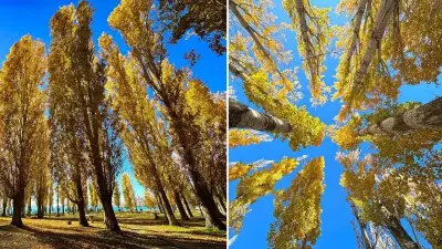 Hazar Gölü Sonbahar Renkleriyle Doğaseverleri Büyülüyor