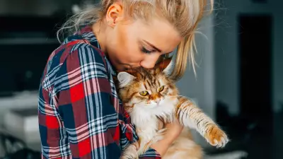 Kedilerin Evcilleşme Tarihi DNA Analiziyle Yeniden Yazıldı