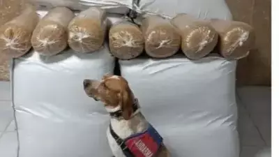 Kırşehir'de Otobüs Bagajında 400 Kilogram Kaçak Tütün Ele Geçirildi