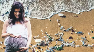 Mikroplastikler Anne Karnındaki Bebeklere Kadar Ulaştı