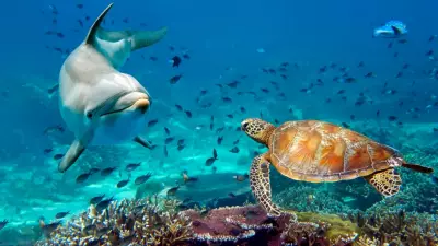 İnsan Ömrünü Katlayan 7 Canlı: 500 Yıl Yaşayan Türler