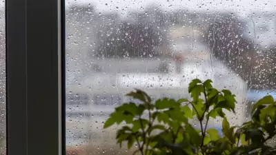 Yağmur Sesinin Sakinleştirici Gücü: Bilim Açıklıyor