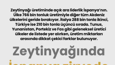 Zeytinyağı Üretiminde İspanya Lider, Türkiye İlk Üçte