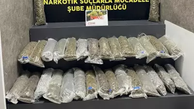 İzmir'de Büyük Operasyon: 23 Kilo Esrar Ele Geçirildi