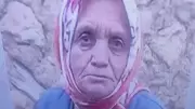 82 Yaşındaki Behiye Yavuz Mantar Toplarken Kayboldu: 3 Günlük Aramada Acı Son