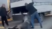 Batman'da Kamyonet Sürücüsü Bağladığı Atı Dakikalarca Sürükledi