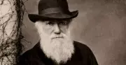Charles Darwin Kimdir? Evrim Teorisinin Kurucusunun Hayatı ve Çalışmaları