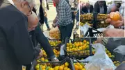 Hatay'da Mandalina Krizi: Üreticiler Ürünlerini Bedava Dağıtıyor