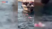 Üsküdar'da Feribot Faciası: Kadın Denize Düştü, İnanılmaz Kurtarma Anı Kamerada!