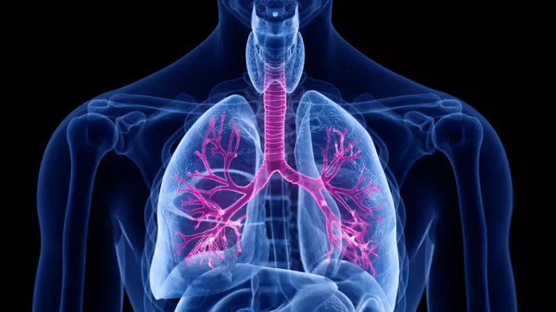 Akciğerleri Güçlendiren 7 Bilimsel Yöntem: Evde Uygulayın