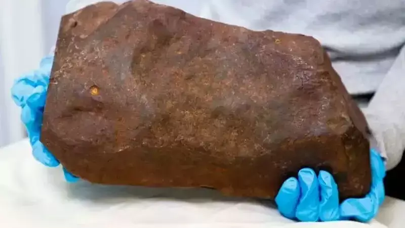 Avustralya'da 4,6 Milyar Yıllık Meteorit Keşfi: Altından Daha Değerli