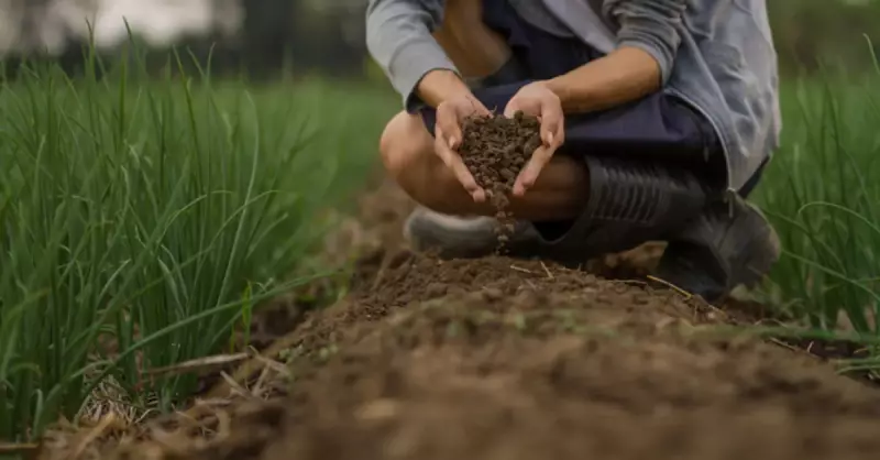 Çernezyom Toprak Nedir? Türkiye'de Nerelerde Bulunur ve Özellikleri