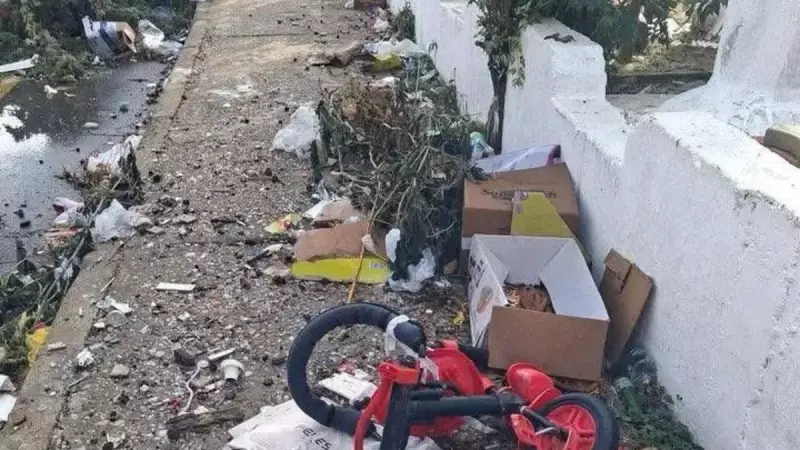 Mersin'de Hortum ve Fırtına: Anamur ve Bozyazı'da Tarım Felaketi