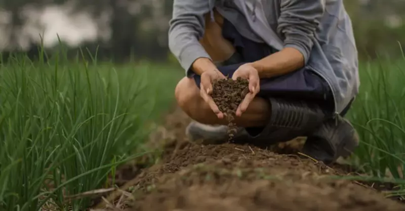 Moren (Buzultaş) Toprağı Nedir? Özellikleri ve Oluşum Süreci