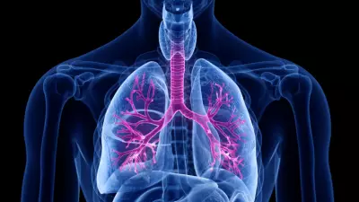 Akciğerleri Güçlendiren 7 Bilimsel Yöntem: Evde Uygulayın