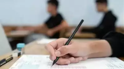AÖL 1. Dönem Sınav Sonuçları Ne Zaman Açıklanacak? 2026 Tarihi Belli Oldu