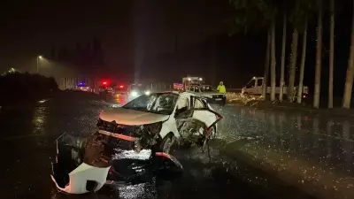 Aydın'da Feci Kaza: Otomobil Refüjdeki Ağaca Çarptı, 1 Ölü