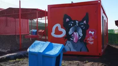 CHP'li Belediyeden Skandal: Deprem Konteynerleri Hayvan Barınağında