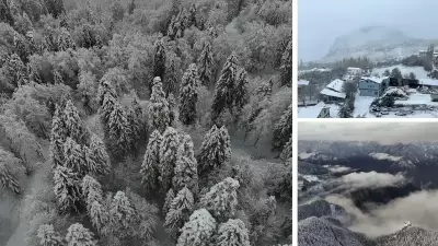 Karadeniz Yaylaları Beyaza Büründü: Giresun'dan Artvin'e Kar Manzaraları